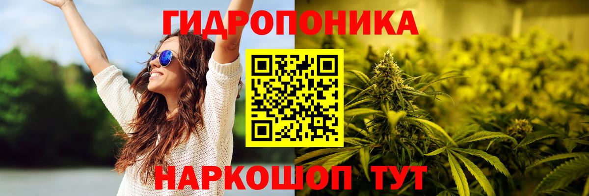 Конопля планчик  Каннабис AK-47  Городец  Вход с VPN  МАРИХУАНА Bruce Banner 